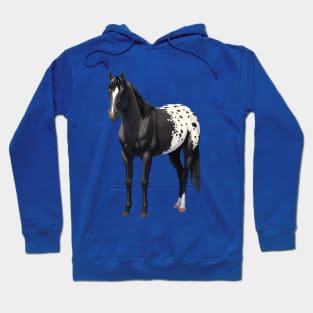 Black Quarter Horse Stallion Appaloosa Hoodie